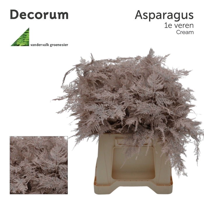 <h4>Asp 1e veren Cream</h4>