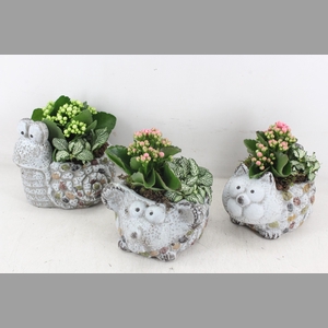 arr2 TD - Dierenmix - roze/wit