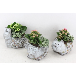 arr2 TD - Dierenmix - roze/wit