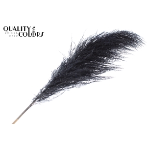 Pampas Grass ± 175cm p/pc in poly Black