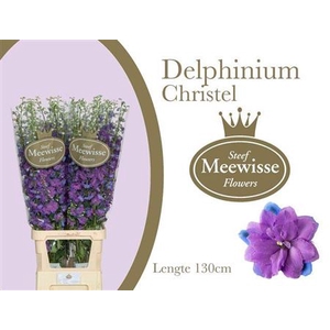 Delph Du Christel