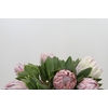 Protea Cynaroides