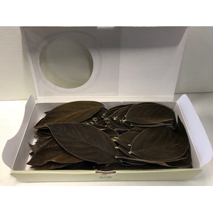 Velvet leaves bruin 150pc