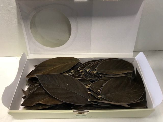 Velvet leaves bruin 150pc