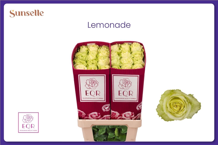 <h4>R GR LEMONADE</h4>