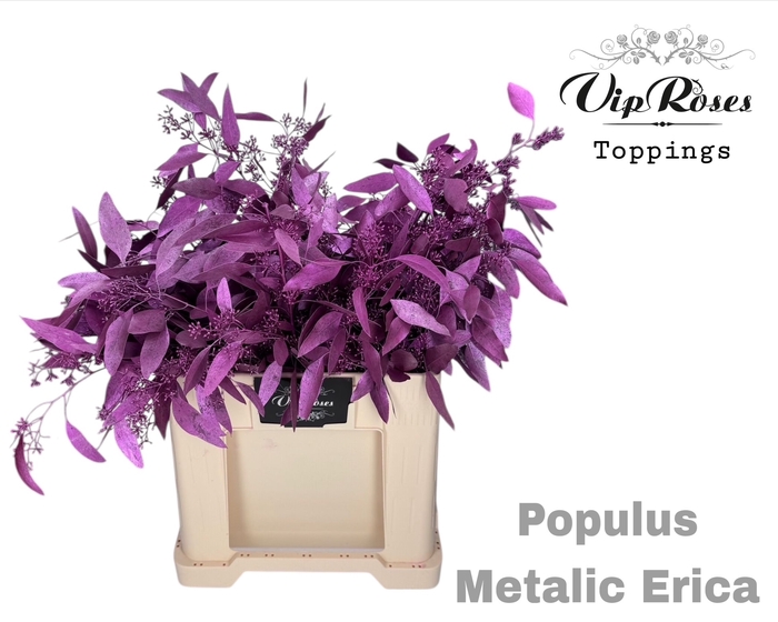 EUCA POPULUS BES METALLIC ERICA
