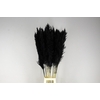 DF Pampas 130cm Black