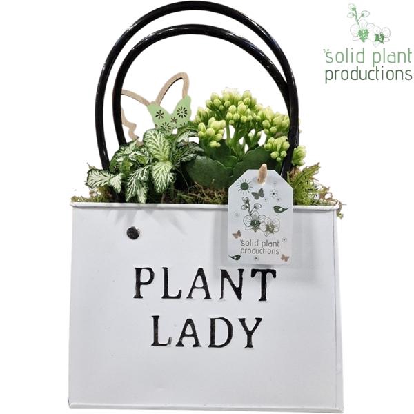 <h4>Arrangementen planten in schaal 6%</h4>