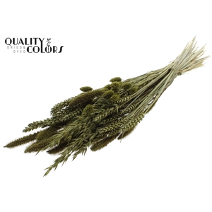 Dried Flower mix bunch Olive