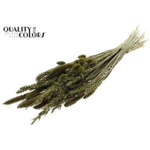 Dried Flower mix bunch Olive