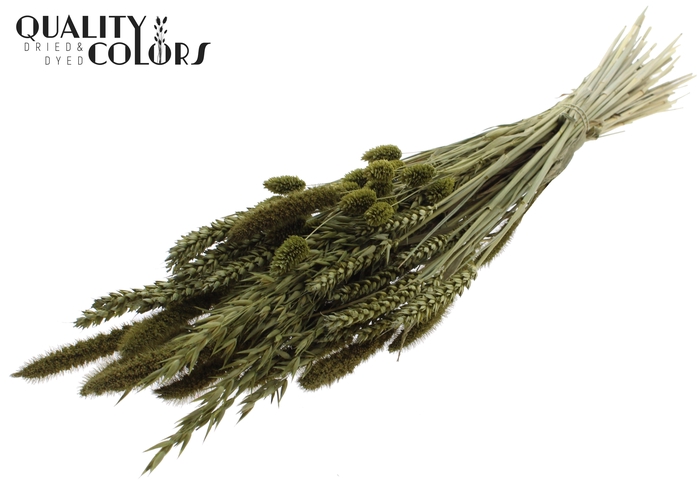 <h4>Dried Flower mix bunch Olive</h4>