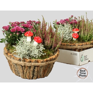 ARR TUINPLANTEN