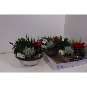 ARR TUINPLANTEN
