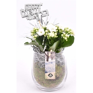 Glas cilinder 9x11cm