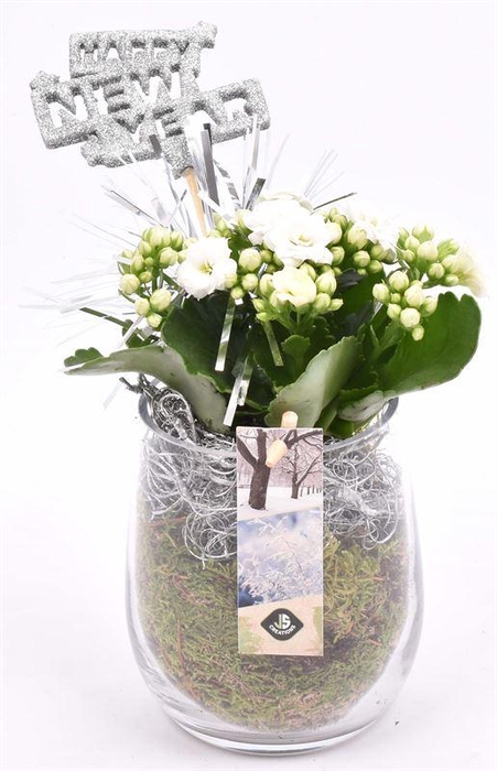 <h4>Glas cilinder 9x11cm</h4>