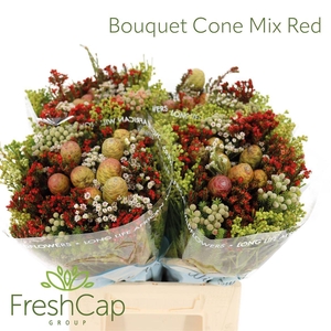 Bouquet Cone Mix Red