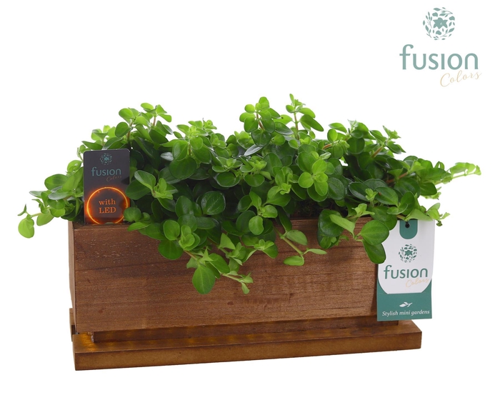 <h4>The Lighting Garden LED Medium met groene planten</h4>