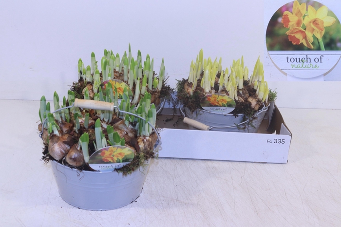 <h4>ARR N TETE A TETE</h4>