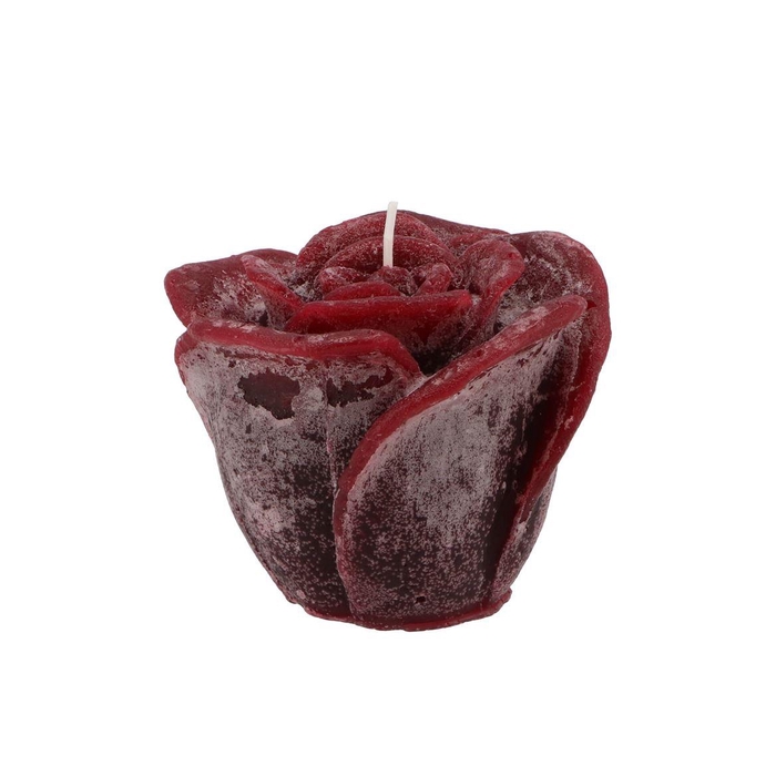 <h4>Candle Roos Bordeaux 11x9cm</h4>