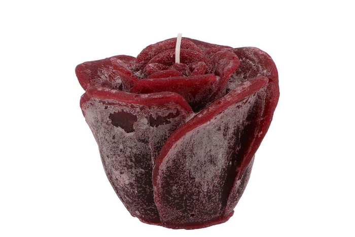 <h4>Candle Roos Bordeaux 11x9cm</h4>