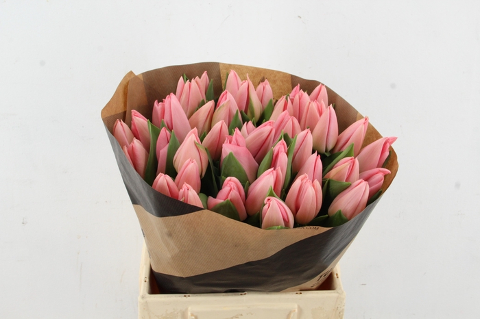 <h4>TU EN SALMON DESSERT</h4>