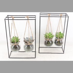 arr2 MB - Ijzer rek 2glas