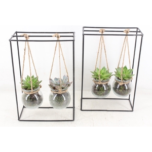 Arr2 Mb - Ijzer Rek 2glas Black