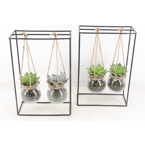 arr2 MB - Ijzer rek 2glas