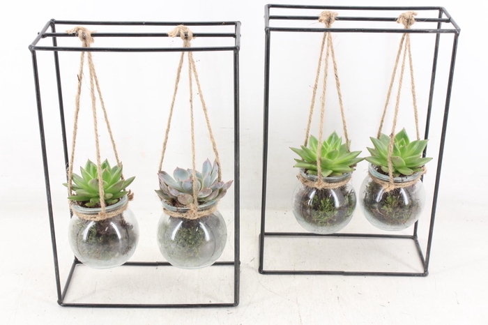 <h4>arr2 MB - Ijzer rek 2glas</h4>