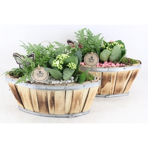 arr2 PL - Hout kano 338/4 - roze/wit