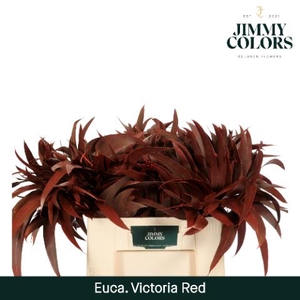 Victoriablad Gekleurd Klbh. Rood