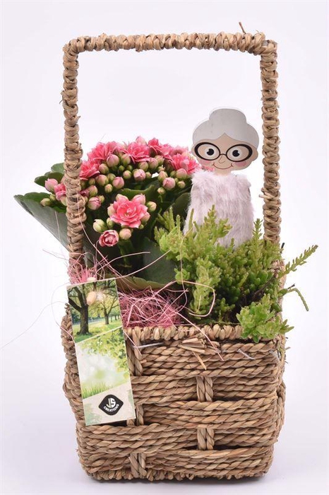 <h4>Touw mand vierkant 12,5x12,5cm</h4>