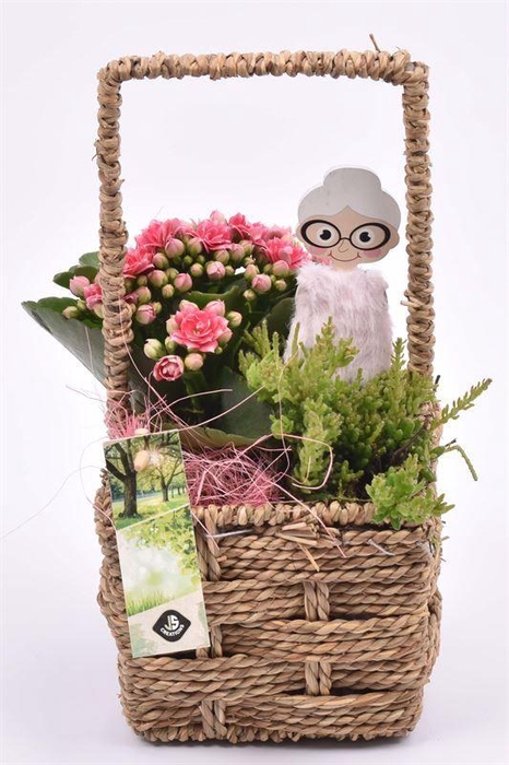 <h4>Touw mand vierkant 12,5x12,5cm</h4>