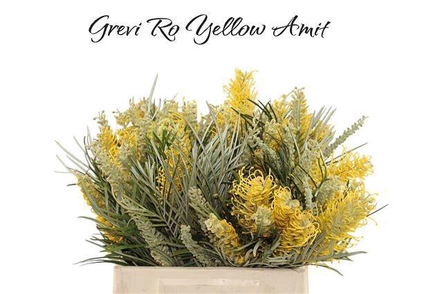 <h4>GREVI RO YELLOW AMIT</h4>