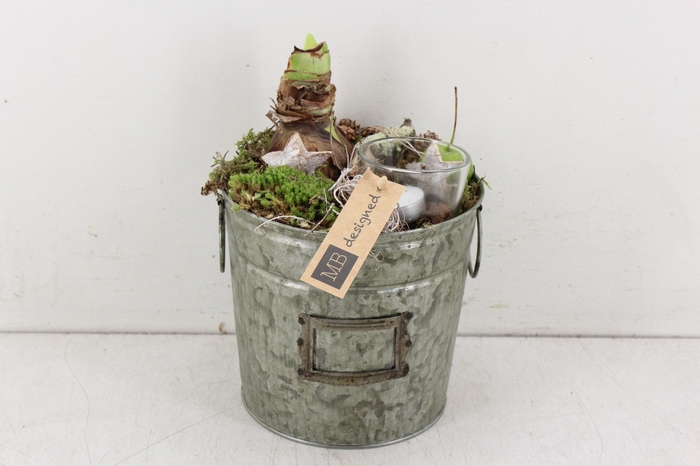 arr.. Amaryllis MB - Zink rond x3