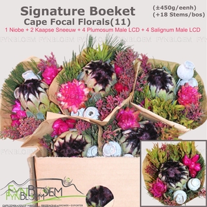 PROTEA PER BOS