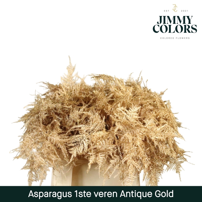 <h4>Aspa 1ste veren + glitter Antique gold + glitter</h4>