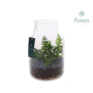 Glas Vaas met Varens