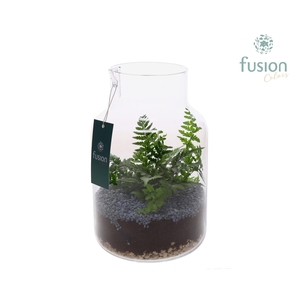 Glas Vaas met Varens