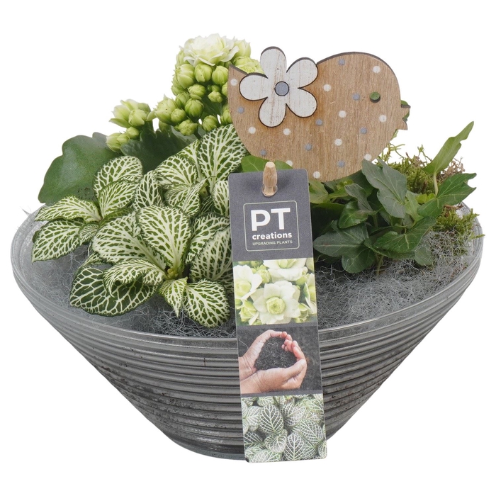 <h4>Arr.    Planten  L%</h4>