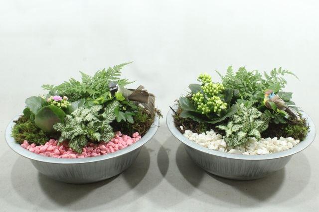 <h4>7259 ZINK IND ROZE/WIT</h4>