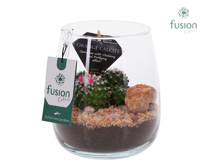 <h4>Glas Alzada Turmali Collection edelstenen met Cactussen</h4>