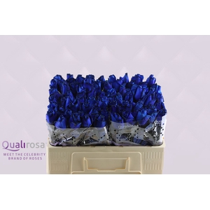R Gr baccara special blue -in box