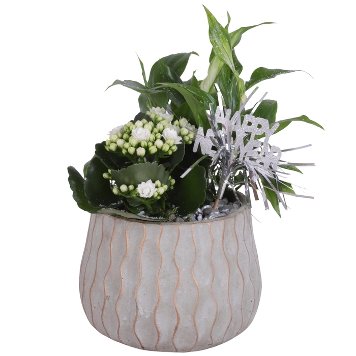 <h4>New Year Arr. Indoor Ceramic Pure Luxury N569 Ø16cm 2PP</h4>