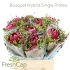 Bouquet Hybrid Single Protea