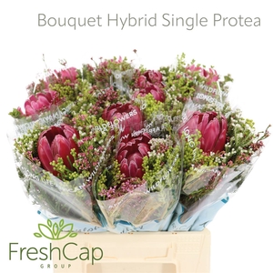 Bouquet Hybrid Single Protea