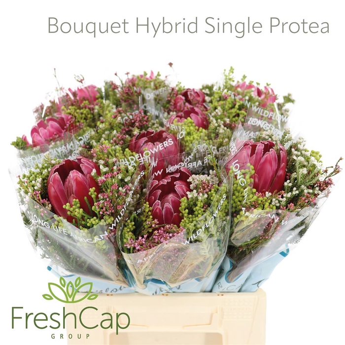 Bouquet Hybrid Single Protea