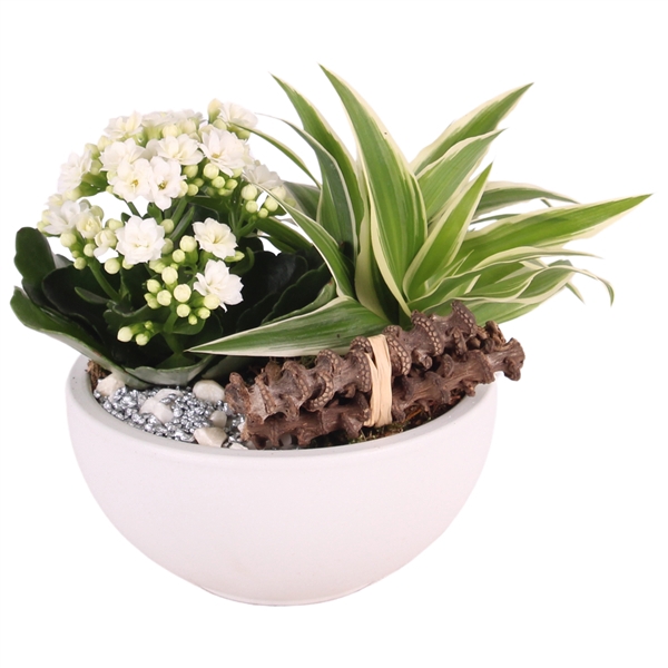 <h4>Yearround Special: Marta Ceramic Round in ø15cm with 2PP</h4>