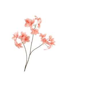 Frangipani Peach