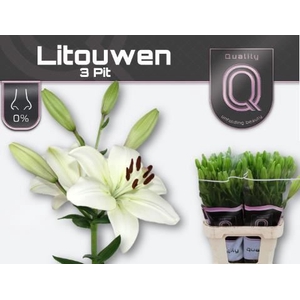Li La Litouwen